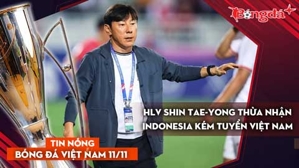 Tin nóng BĐVN 11/11: HLV Shin Tae-yong thừa nhận Indonesia kém tuyển Việt Nam