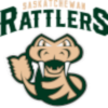 Brampton Honey Badgers
