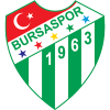 Anadolu Efes Sports Club