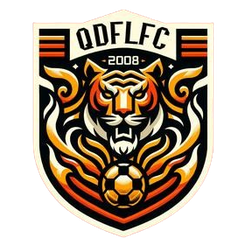 Shanxi Chongde Ronghai