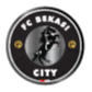 PSPS Riau