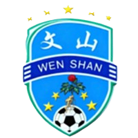 Wenshan Team
